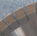 20220929_114652.jpg