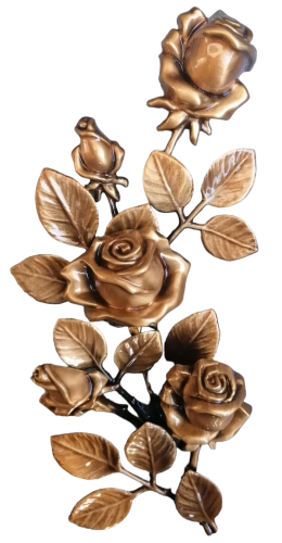 PhotoRoom-20230425_103905.png