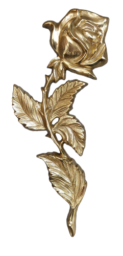 PhotoRoom-20230425_105141 (1).png