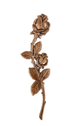 Photoroom-20240305_103942 (1).jpg