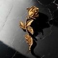 Photoroom_20260416_125225.JPG
