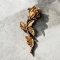 Photoroom_20260416_125351.JPG