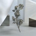 Photoroom_20260626_115723.jpg