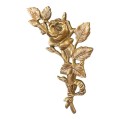 Photoroom_20260630_100733.JPG